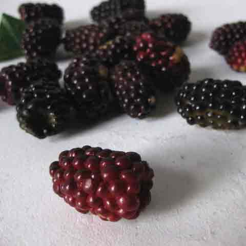 FRUIT, Artificial - Loganberry (Price Per Punnet)